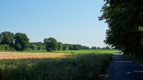 Rustieke landbouw Verschillende gekleurde landbouwvelden langs een fietspad