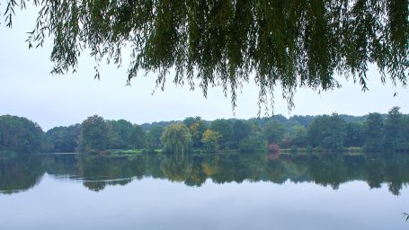 Zicht op de overkant van de Pröbsting-See De oever van de Pröbsting-See