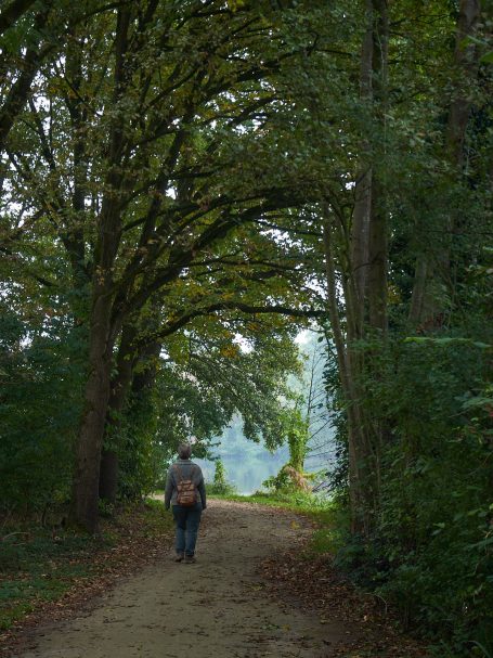 Wandelpad aan de Pröbsting-See Wandelen in een tunnel van bomen